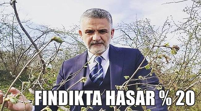 Akça: Fındık yüzde 20 yanma olabilir