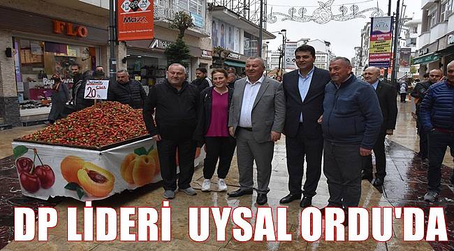 DP Genel Başkanı Uysal Ordu'da