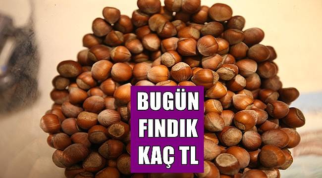 Fındık bugün kaç lira? 17 Nisan Pazar fındık fiyatları