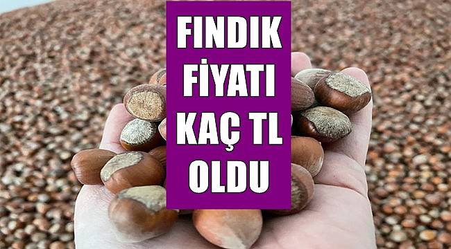 Fındık fiyatları 28 Nisan Perşembe kaç TL oldu?