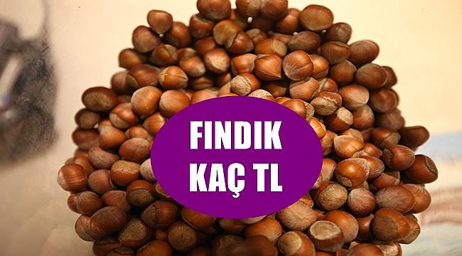 Fındık fiyatları bugün kaç lira oldu?