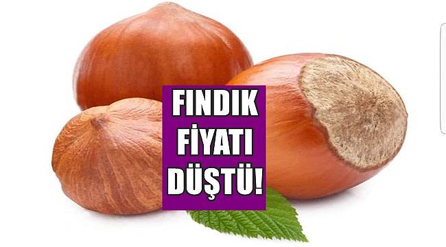Fındık fiyatları düşmeye devam ediyor