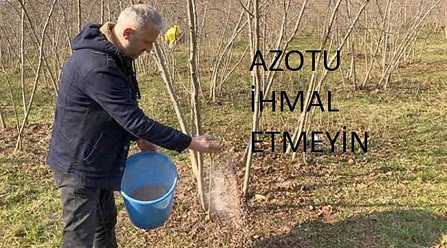 Fındık için en iyisi azotlu gübre