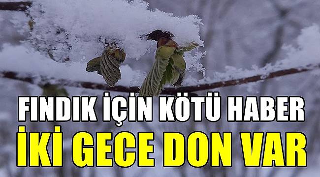 Fındık için kötü haber! İki gece don var