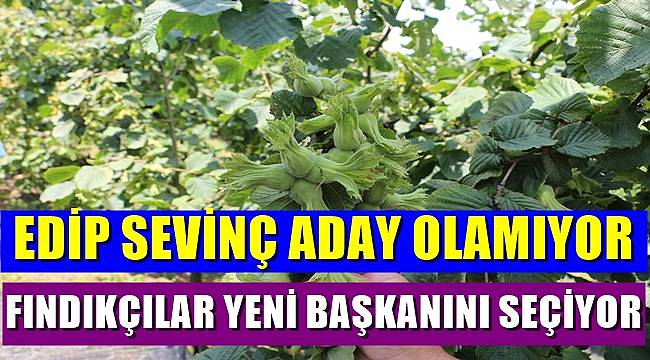 Fındık ihracatçıları yeni başkanını seçecek