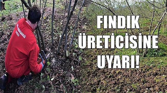 Fındık üreticisine ilkbahar uyarısı