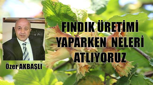 Fındık üretimi yaparken neleri atlıyoruz