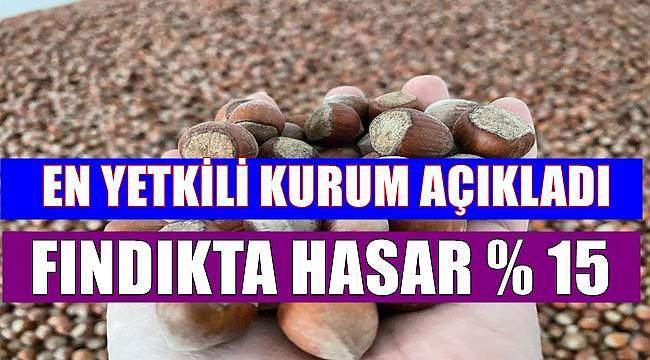 Fındıkta hasar yüzde 15 olarak açıklandı