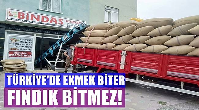 İç fındığın kilosu 5.94 dolardan ihraç edilmiş