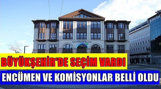 Ordu Büyükşehir&#039;de encümen ve komisyon seçimi yapıldı