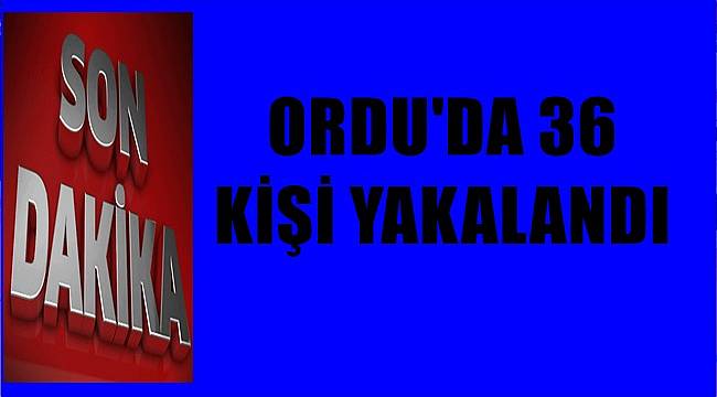 Ordu'da 36 kişi yakalandı