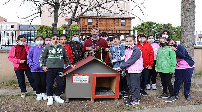 Ordu'da 4 Nisan Sokak Hayvanları etkinlikleri