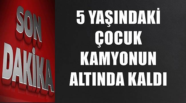 Ordu'da 5 yaşındaki çocuk kazada hayatını kaybetti