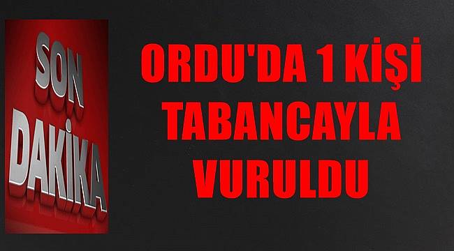 Ordu'da bir kişi tabancayla vuruldu