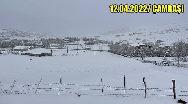 Ordu'da Çambaşı Yaylası'nda kar yağışı etkili oluyor