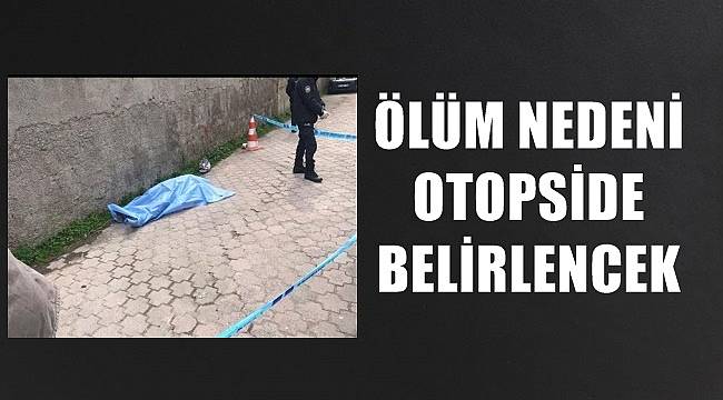 Ordu'da cenazeye giden yaşlı kadın yolda ölü bulundu