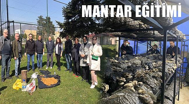 Ordu'da çiftçilere mantar eğitimi verildi