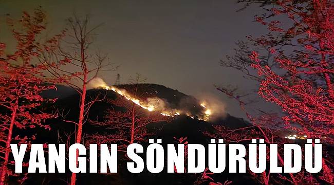 Ordu'da çıkan yangında 150 dönüm alan zarar gördü