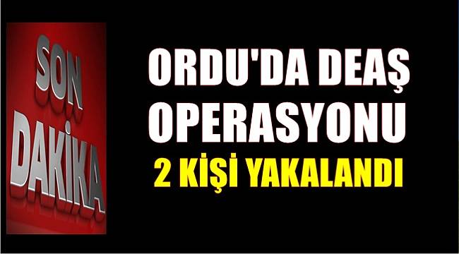 Ordu'da DEAŞ operasyonunda 2 kişi yakalandı
