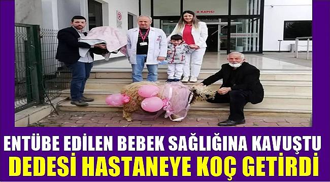 Ordu'da entübe olan bebek sağlığına kavuştu dedesi hastaneye koç getirdi