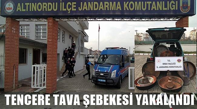 Ordu'da evlerden hırsızlık yapan şebeke jandarma tarafından suçüstü yakalandı