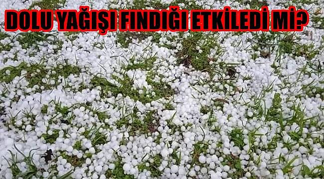 Ordu'da fındık büyüklüğünde dolu yağdı