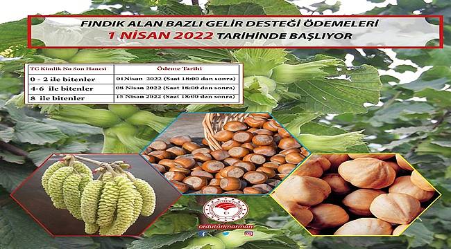 Ordu'da fındık üreticisine 276 milyon lira ödeme yapılacak