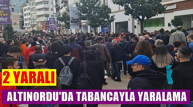 Ordu'da iki kişi tabancayla yaralandı