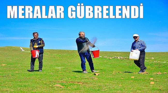 Ordu'da mera ıslah çalışması devam ediyor