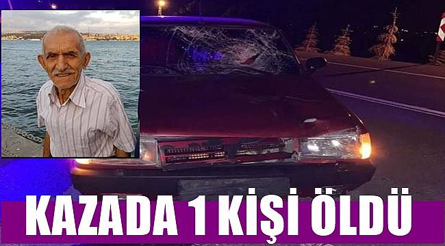 Ordu'da teravih namazına giderken otomobil çarpan vatandaş hayatını kaybetti