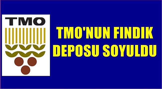 Ordu'da TMO'nun deposundan fındık çalan 2 çalışan tutuklandı