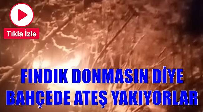 Fındık donmasın diye bahçede ateş yakmaya başladılar