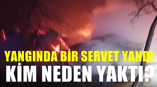Ordu&#039;da yangında bir servet yandı