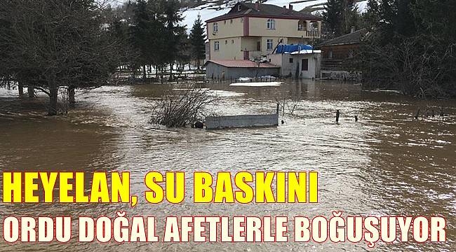 Ordu doğal afetlerle boğuşuyor heyelan, su baskını