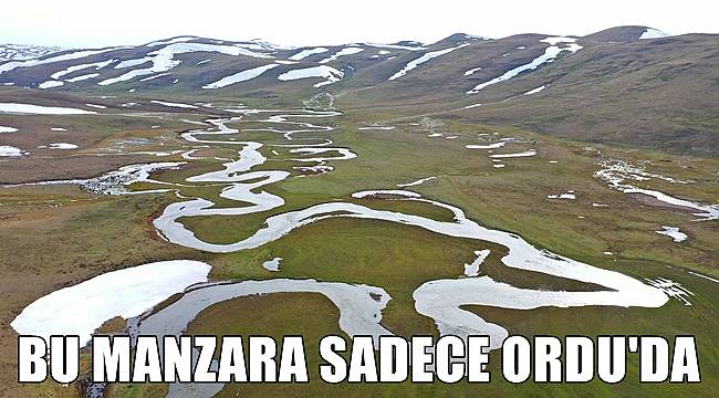 Ordu'nun menderesleriyle ünlü Perşembe Yaylası manzarasıyla büyülüyor