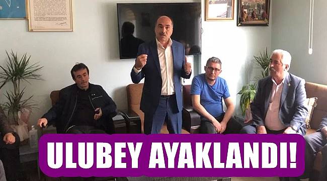 Ordu Ulubey'de siyanürle altın aranmasına karşı platform kuruluyor