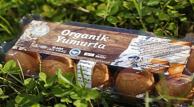 Ordu yumurta üretiminde zirveye oynuyor