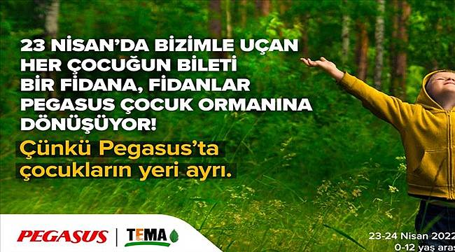 Pegasus Çocuk Ormanı