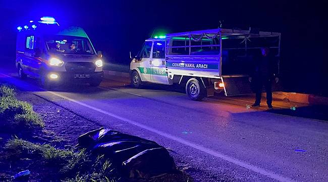 Samsun'da otomobilin çarptığı tır sürücüsü hayatını kaybetti