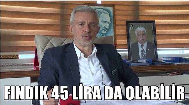 Şenocak: Fındık fiyatı 45 lira da olabilir