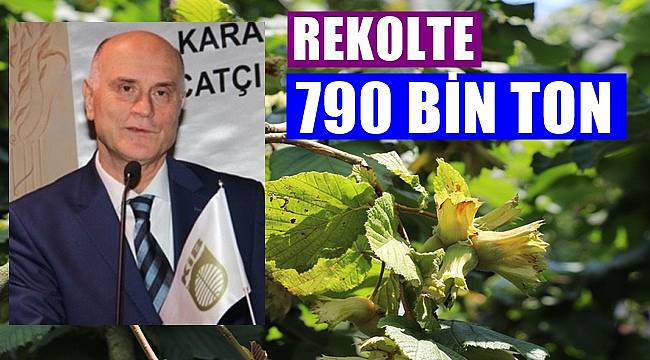 Sevinç: Kar yağışı fındığa hasar vermedi