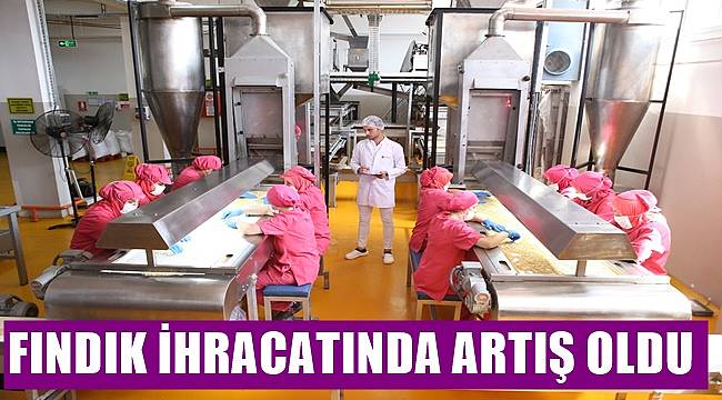 Türkiye fındıktan 7 ayda 1 milyar 474 milyon dolar para kazandı