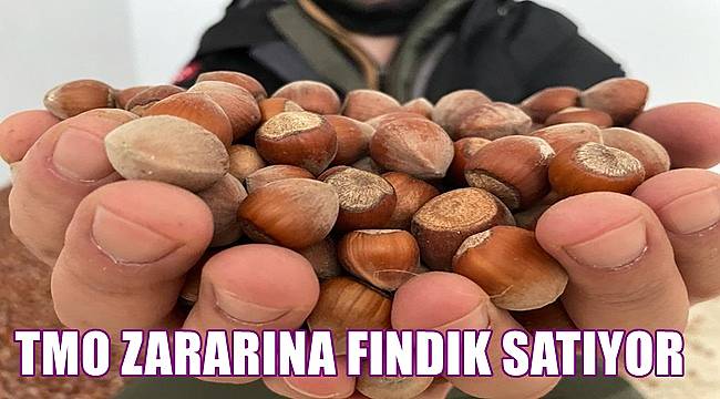 Akça: TMO zararına fındık satıyor!