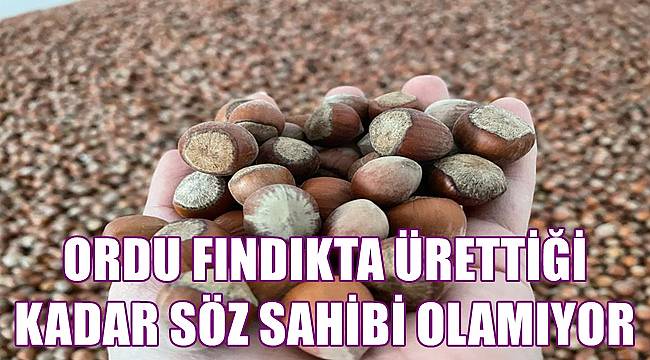 Dünya Fındık Haftası bu yıl da Ordu'da kutlanmayacak