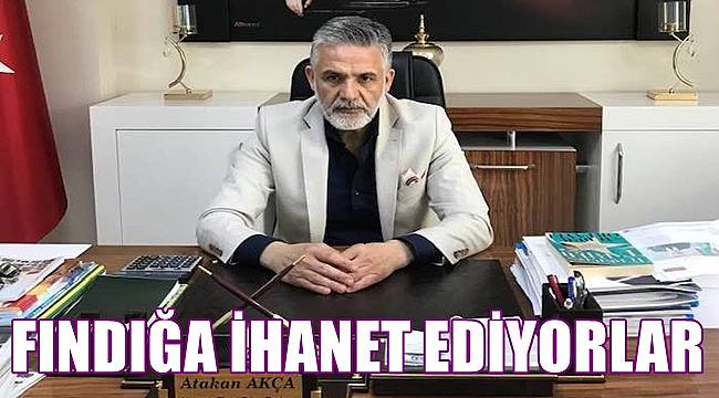 Fındığa ihanet ediliyor