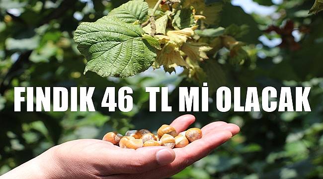 Fındık fiyatı 46 TL mi açıklanacak?