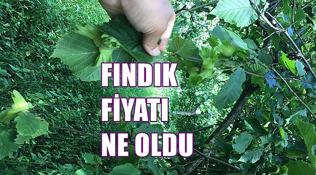 Fındık fiyatı 6 Mayıs Cuma günü kaç lira?