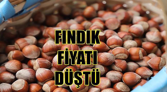 Fındık Fiyatı düştü! 3 Mayıs Salı fındık fiyatı