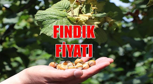 Fındık kaç  lira 26 Mayıs Perşembe fındık fiyatı