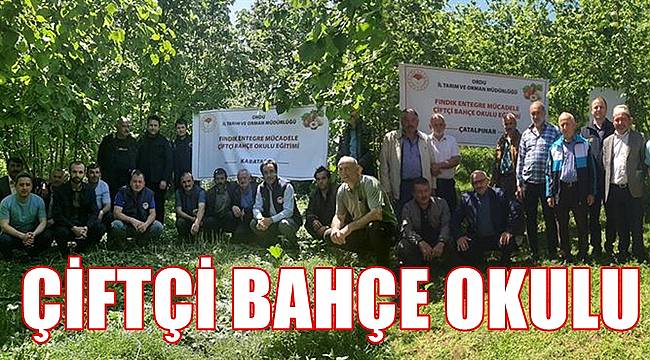 Fındık üreticisi Çiftçi Bahçe Okulu'nda eğitim görüyor